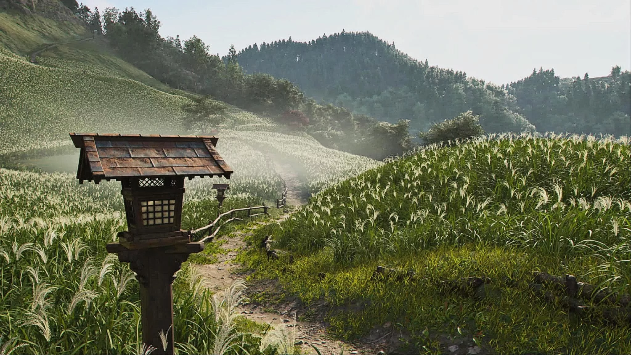 assassins creed shadows premiera cena preload