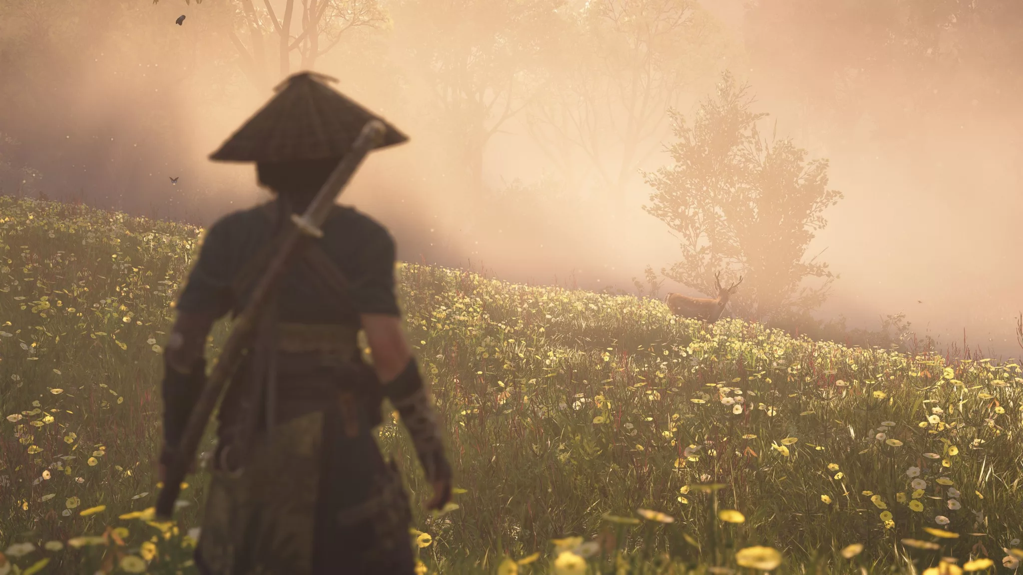 assassins creed shadows detale błędy ubisoft