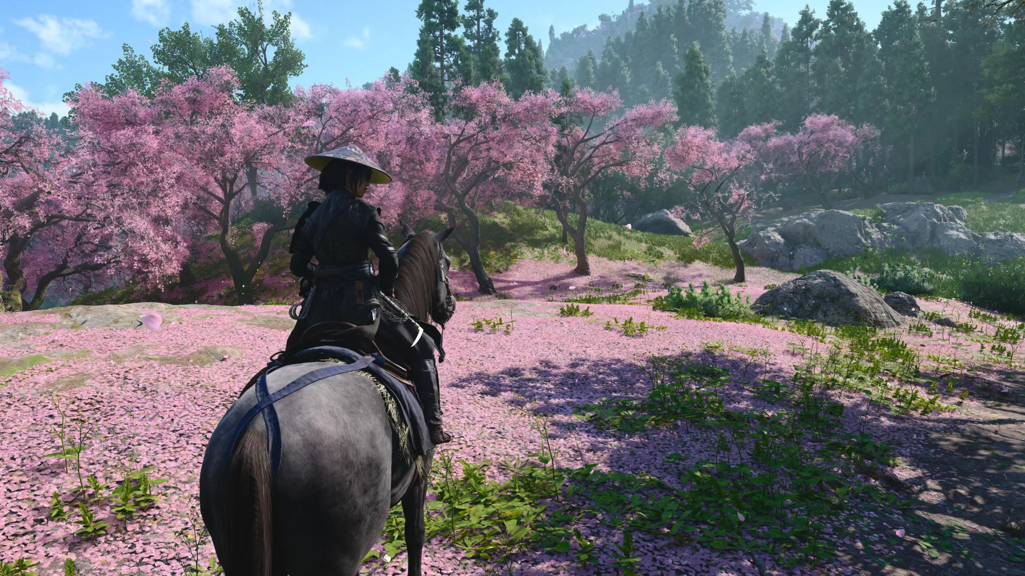 assassins creed shadows ukryte ostrze aktualizacja